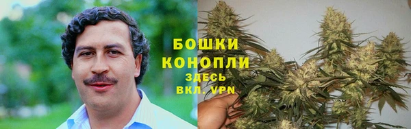 стафф Абаза
