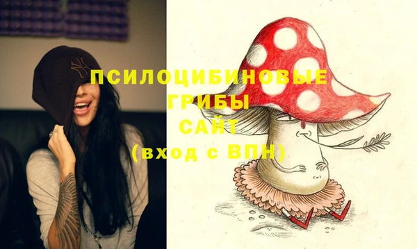 стафф Абаза
